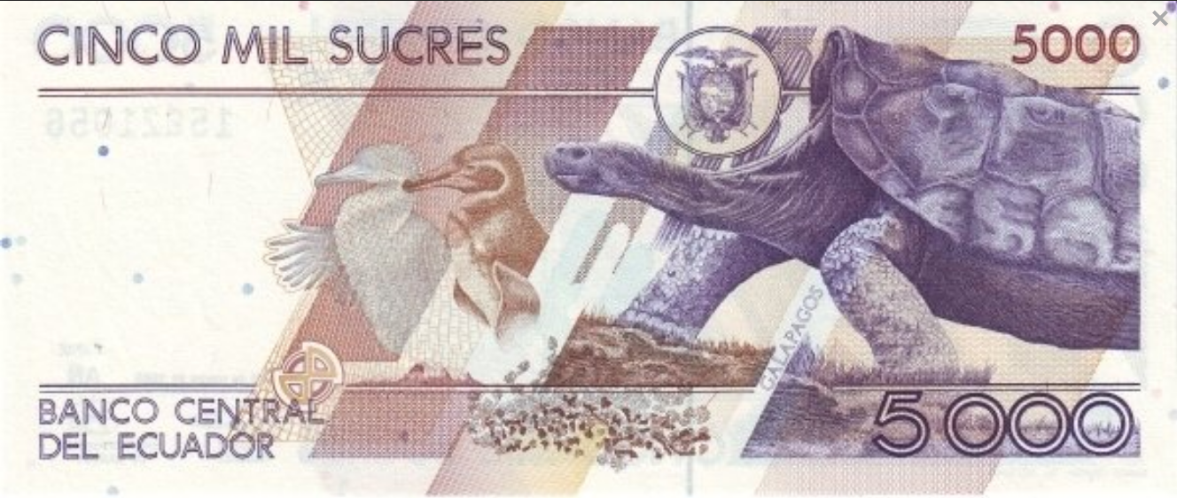 Ekwador 5000 sucres Żółw 1999 P-128c