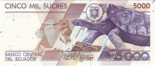 Ekwador 5000 sucres Żółw 1999 P-128c